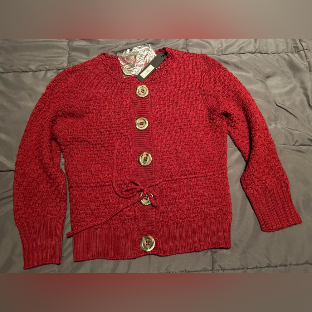 The Limited Sweater size small brand new with tags never worn